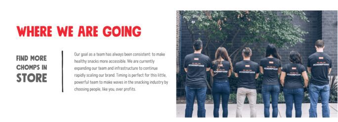 Chomps ecommerce case study by Coalition Technologies on Shopify Plus