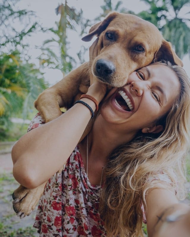 Absolute Dogs ecommerce case study by Digital Silk on Shopify