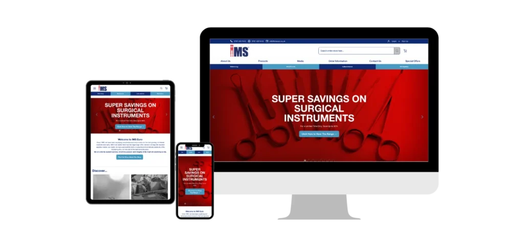 IMS Euro ecommerce case study