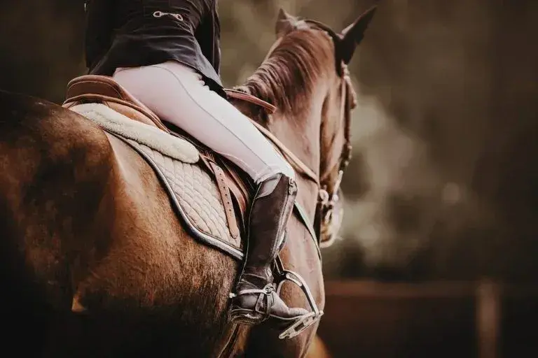 Mary's Tack ecommerce case study by IntuitSolutions on BigCommerce