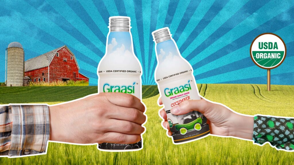 Graasi ecommerce case study by Lounge Lizard