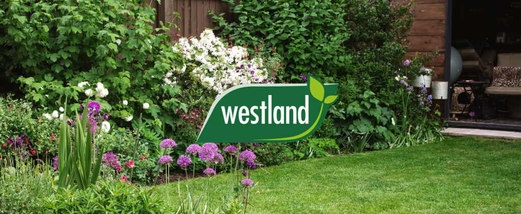 Westland ecommerce case study