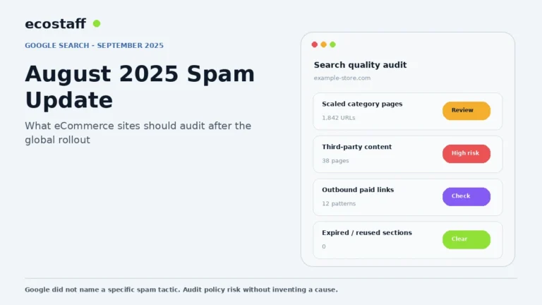 Google August 2025 spam update ecommerce audit dashboard