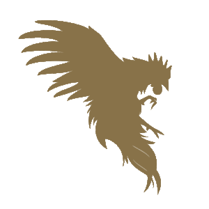 Sleepless Media logo